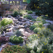 backyard ideas