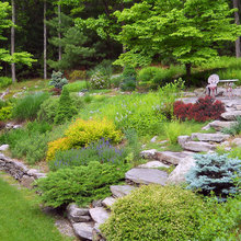 Deb Coffin hillside ideas