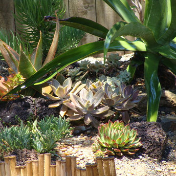 Costa Mesa 2011