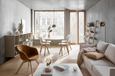 This is an example of a scandinavian living room in Sydney.