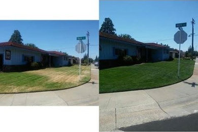 Lawn Painting Before and After Photos