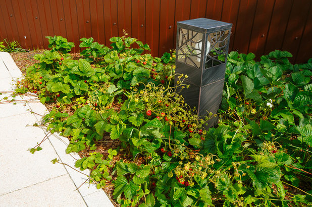 Современный  by Татьяна Звёздочкина/Студия VENUS DESIGN