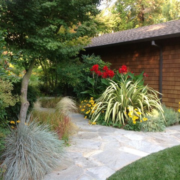 Landscape Design & Installation