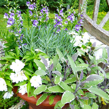 Container Design - Spring and Summer