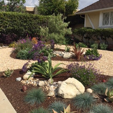 Arizona Landscaping
