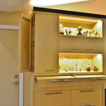 Modern Entertainment Centers