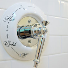 shower trim