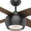 Casablanca 54" Valby Ceiling Fan With Light Kit & Wall Control, Matte Black