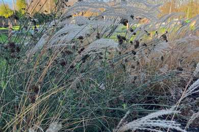 Community Sensory Garden