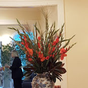 Jenni Haddix's photo