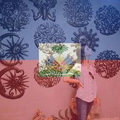 Caroline Bazin's photo