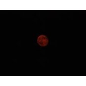 David Jones's photo