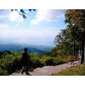 Dee Nermal's photo