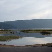 Stan Cunningham's photo