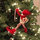 Sandy Donlon