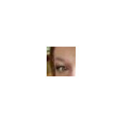 Dawn Carpenter's photo