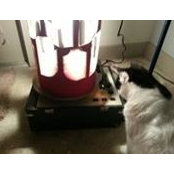 Matt Griffin's photo