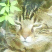 Corinne Mayer's photo