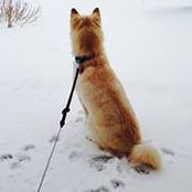 Katie Killion's photo