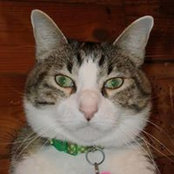 Wendy Watson's photo
