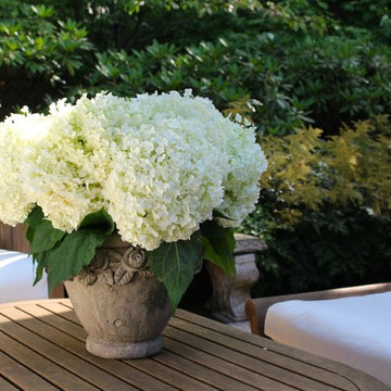 A Classic Country White Garden Revisited