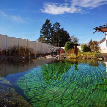 Am Schwimmteicht - Sichtschutz für Ihre Badeoase