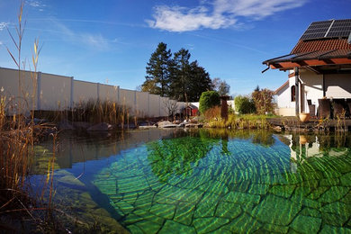 Großer Moderner Schwimmteich neben dem Haus in individueller Form mit Sichtschutz und Betonboden in Sonstige
