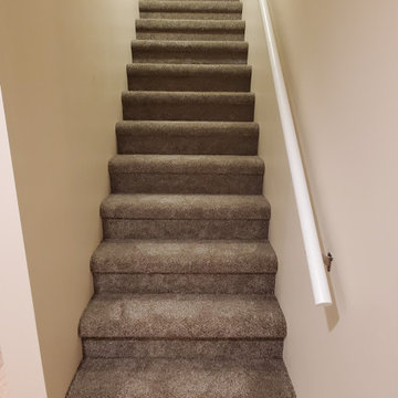 Finished basement carpeted stairs.