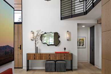 Inspiration for a contemporary entryway remodel in Detroit