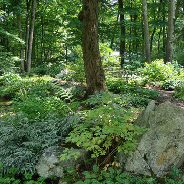 Woodland Gardens