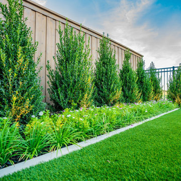 Mary Curran Ct | Dallas, Texas | Landscape Designer