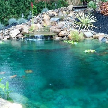 Ponds, Waterfalls, Fountains