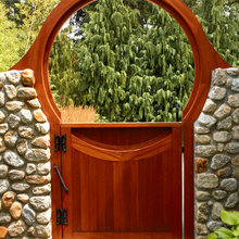 Lofty Maple