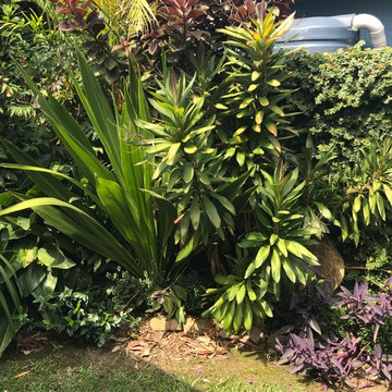 Garden design and maintenance