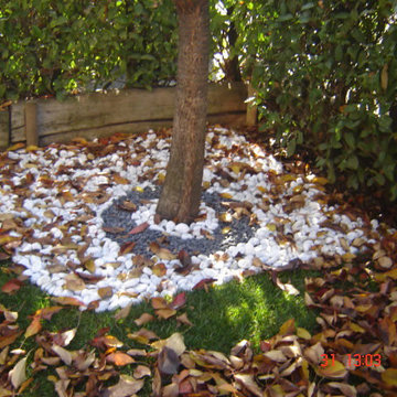 Giardini e Realizzazioni