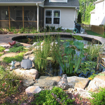Wake Forest, NC koi pond and landscape rennovation