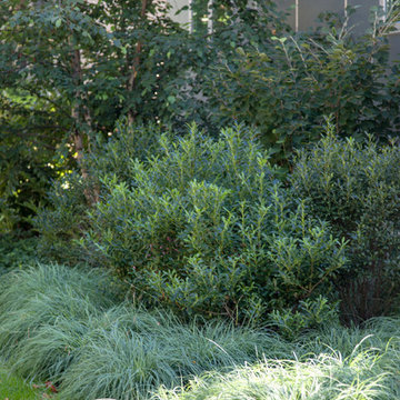 The Winslow Gardens