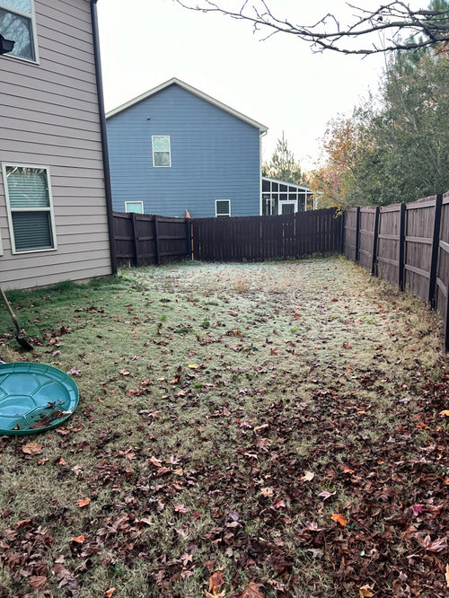 Ideas for playground area unlevel backyard