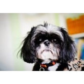 Sheena Davis's photo
