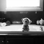 Kimberly Matlock's photo