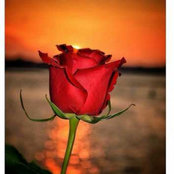 fatima ka's photo
