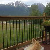 Cindy Palmer's photo