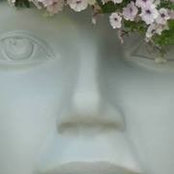 Debbie Conway's photo