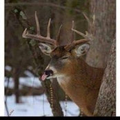 Mike Pensis's photo