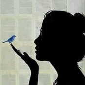 Foto von Chantelle Botha