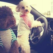 Teddy Ouyangs foto