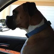 Daniela Nastrini's photo