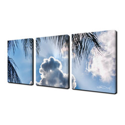 Ready2HangArt - Ready2hangart Chris Doherty 'Cloudy Palms' 3-piece Canvas Wall Art - Prints And Posters
