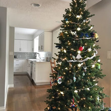 New Kitchen