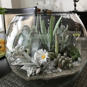 Terrariums